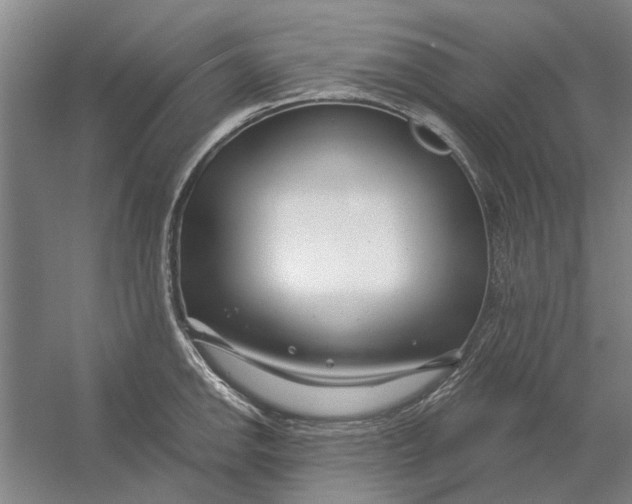 X0000054421142200508192050
