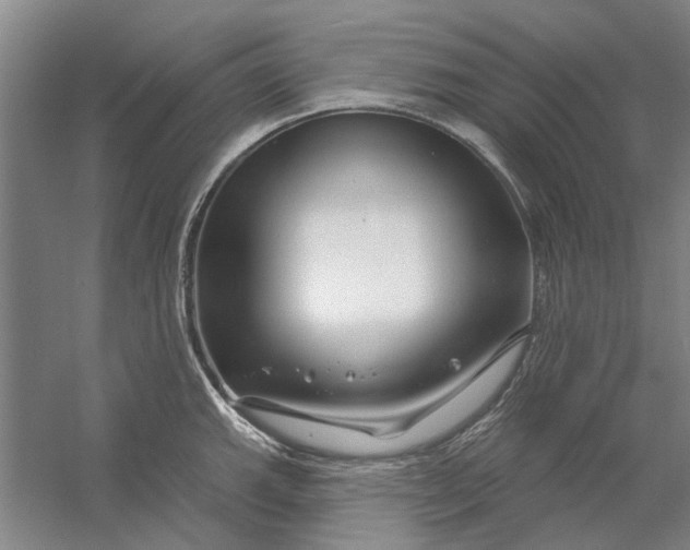 X0000054421143200508192050
