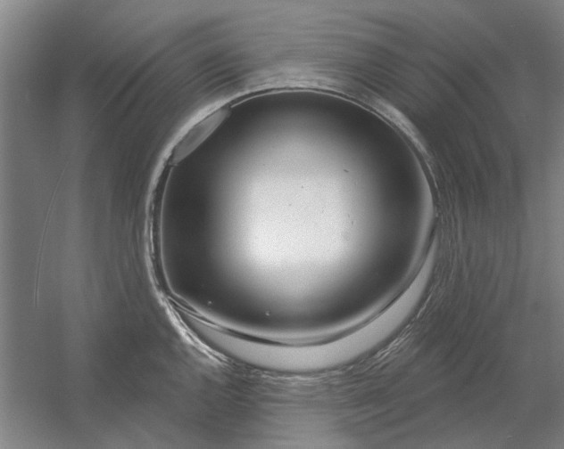 X0000054421144200508192050
