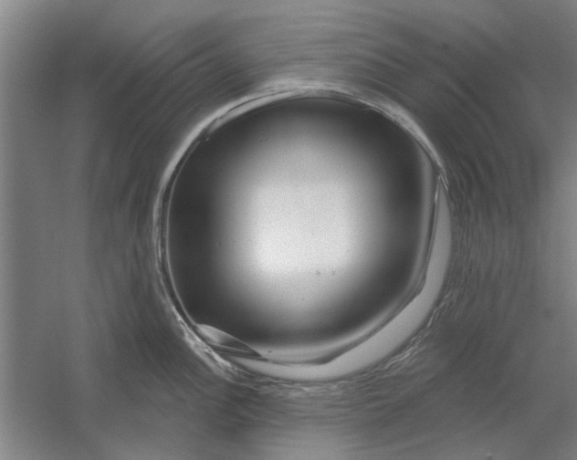 X0000054421148200508192051