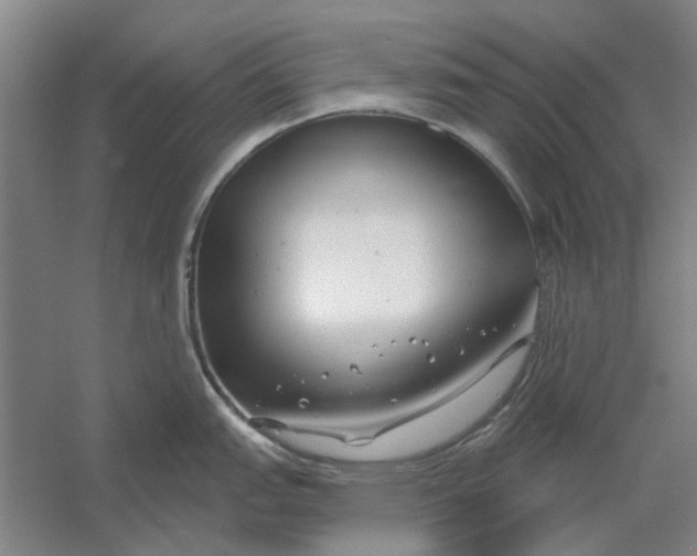 X0000054421151200508192051