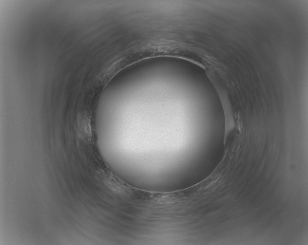 X0000054421155200508192050