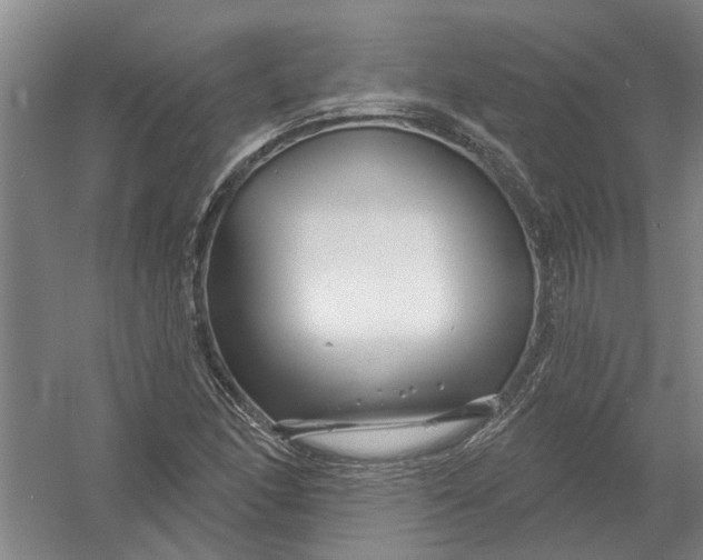 X0000054421166200508192050