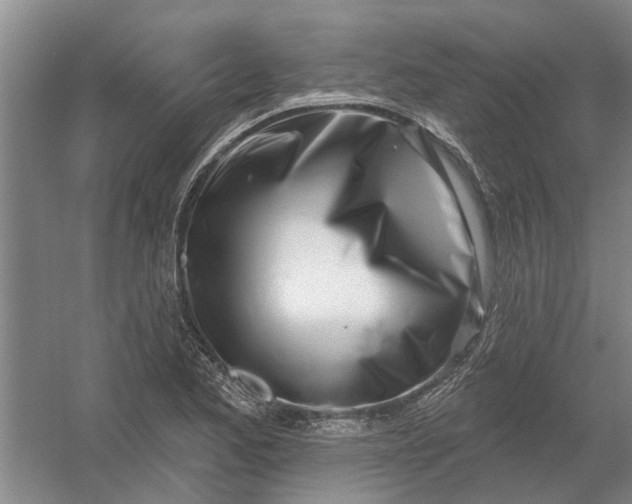 X0000054421173200508192049