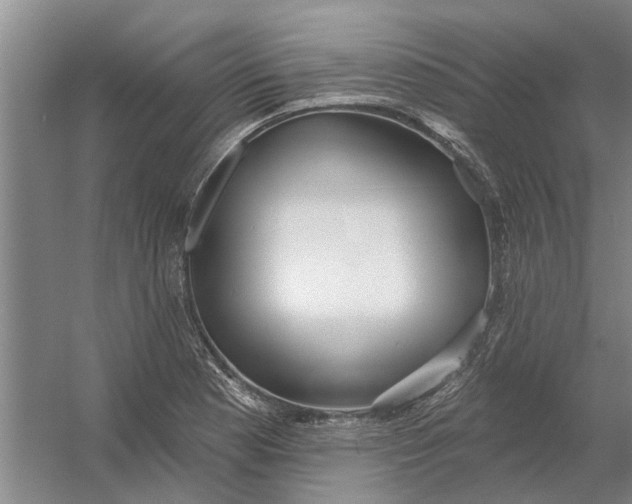 X0000054421177200508192049