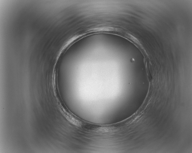 X0000054421179200508192049
