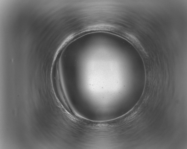 X0000054421180200508192049