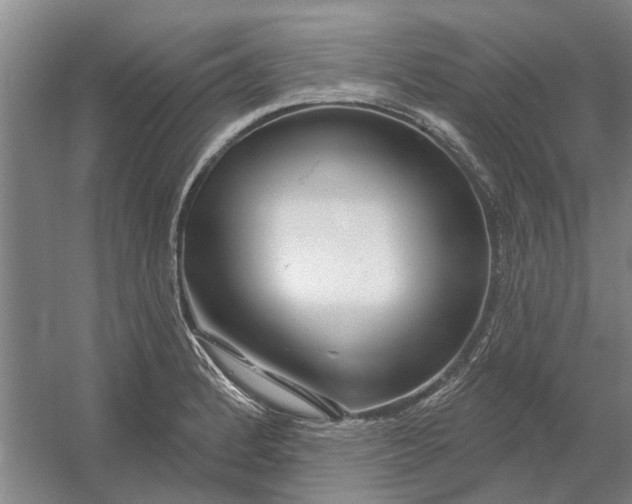 X0000054421184200508192049
