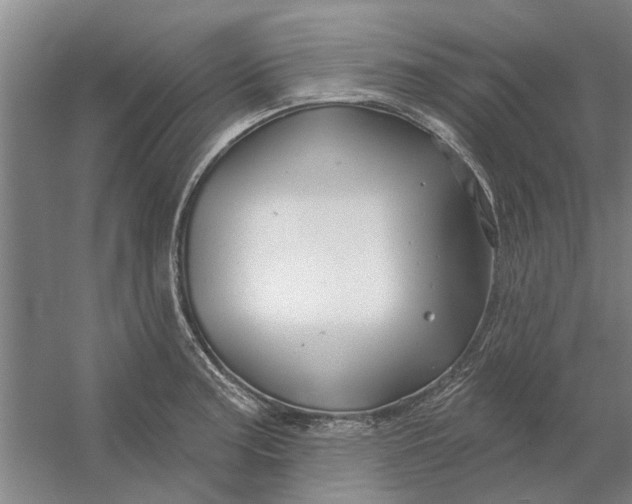 X0000054421187200508192049