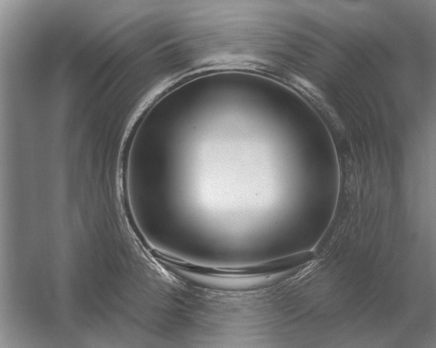 X0000054421188200508192049