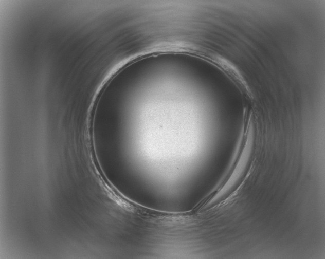 X0000054421192200508192049