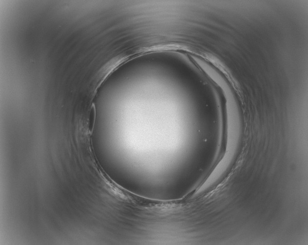 X0000054421193200508192049