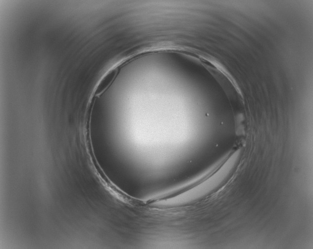 X0000054421197200508192049