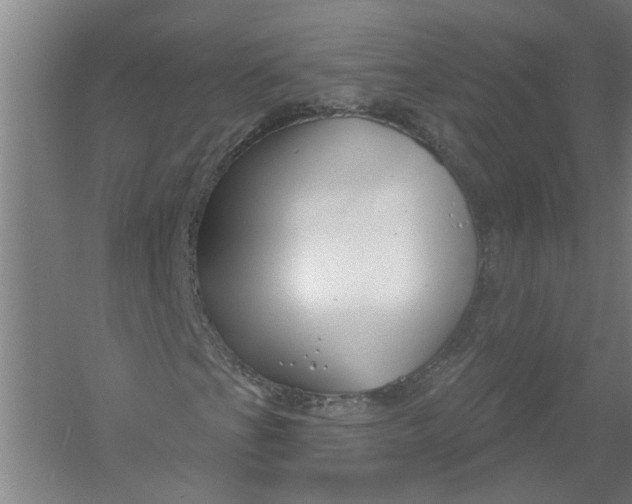 X0000054421201200508192048