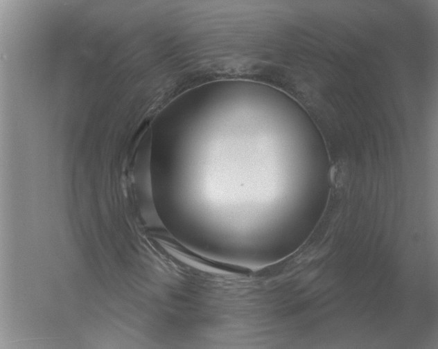 X0000054421202200508192048
