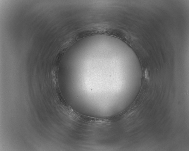 X0000054421203200508192048
