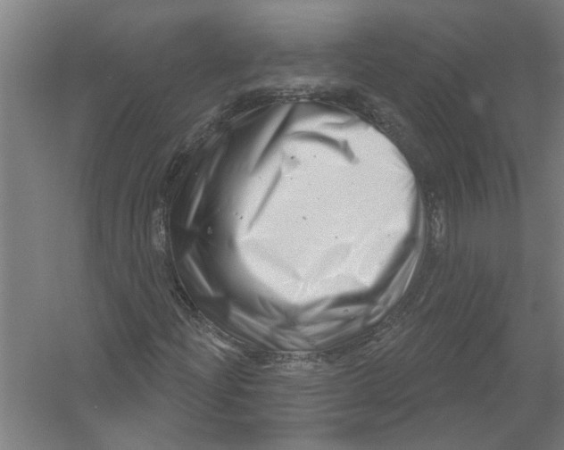 X0000054421204200508192048