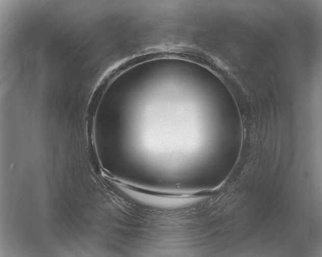 X0000054421214200508192048