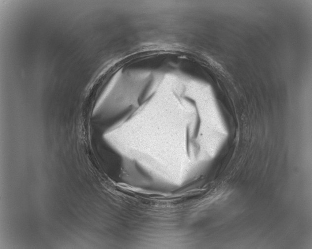 X0000054421215200508192048