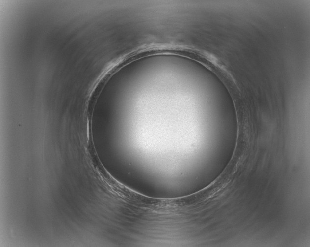 X0000054421221200508192048