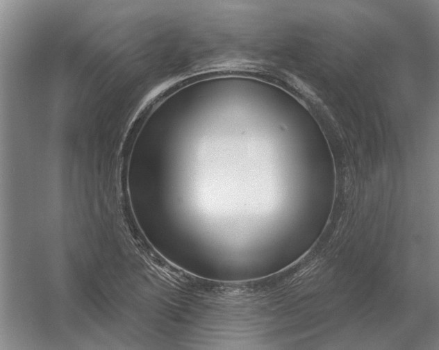 X0000054421222200508192049
