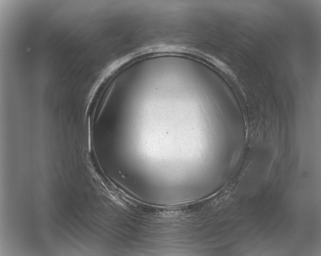 X0000054421223200508192049