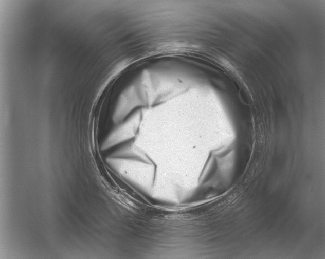 X0000054421227200508192049