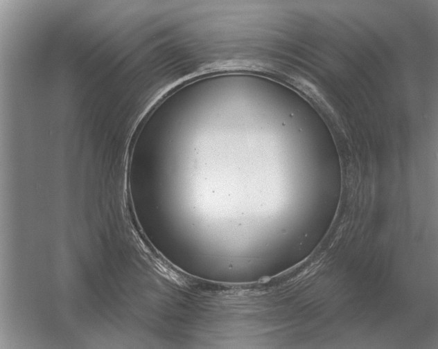X0000054421228200508192049