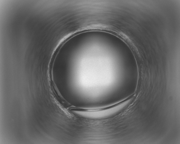 X0000054421230200508192049