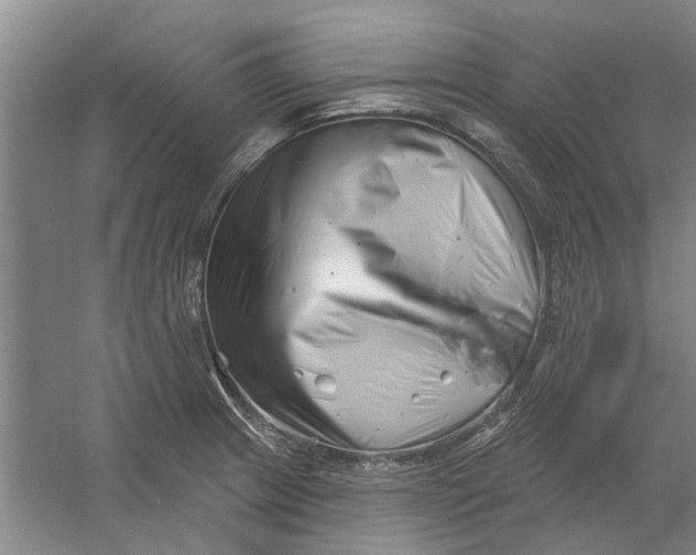 X0000054421233200508192049