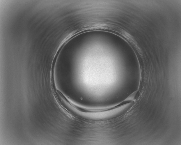 X0000054421234200508192049