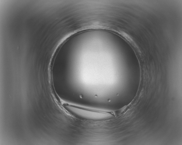 X0000054421238200508192049
