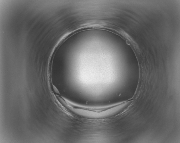 X0000054421240200508192049
