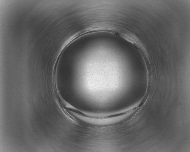 X0000054421242200508192049