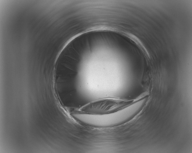 X0000054421244200508192049