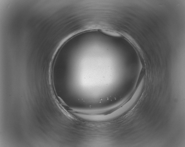 X0000054421246200508192049