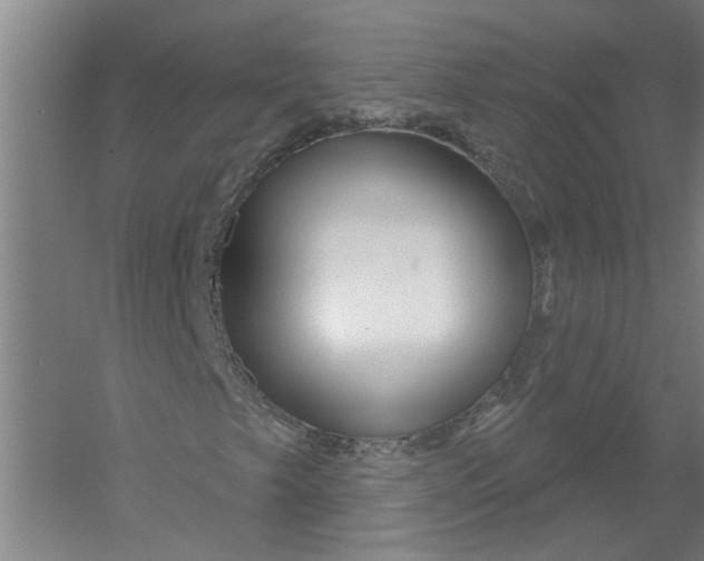 X0000054421249200508192048