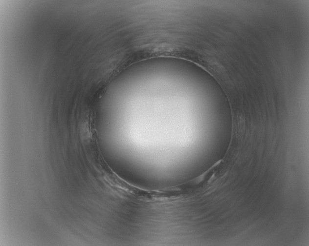 X0000054421250200508192048