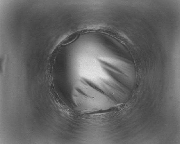 X0000054421256200508192048