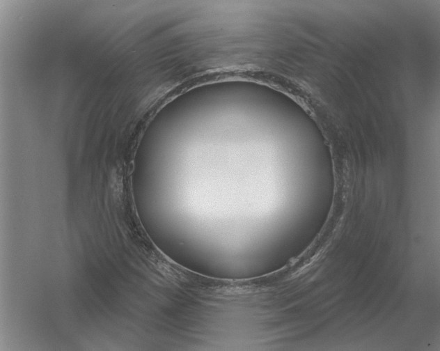 X0000054421257200508192048