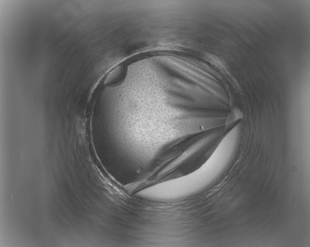 X0000054421260200508192048