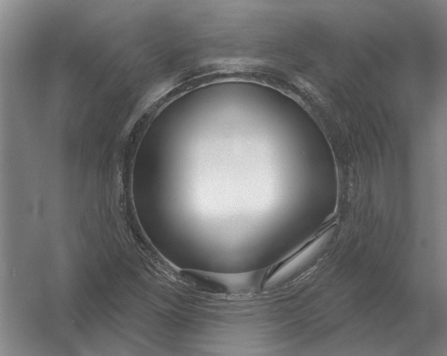 X0000054421261200508192048