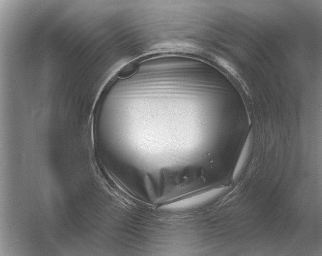X0000054421275200508192048