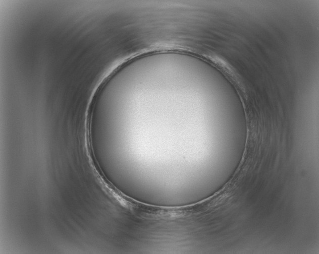 X0000054421286200508192048