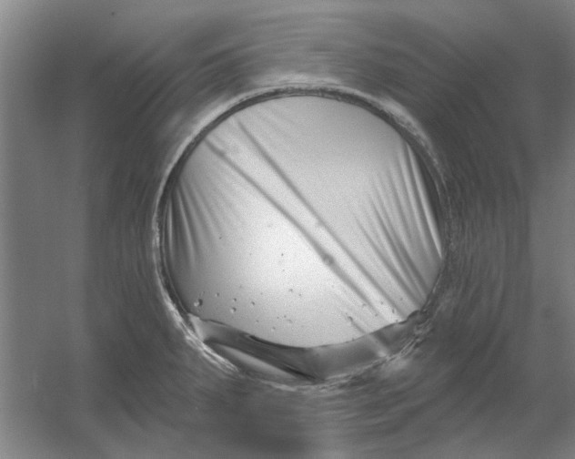 X0000054421287200508192047