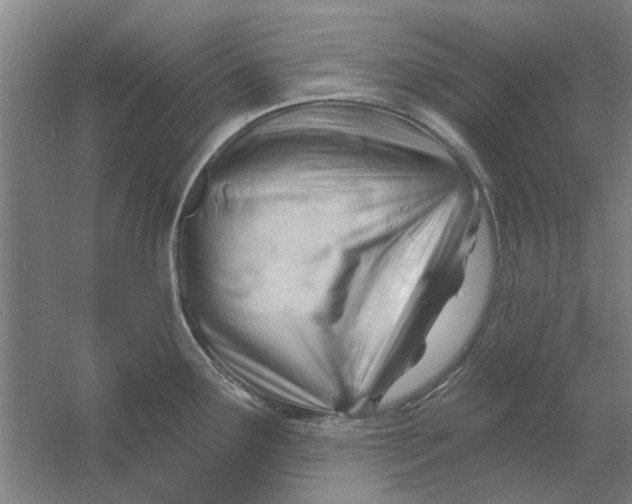 X0000054421291200508192047