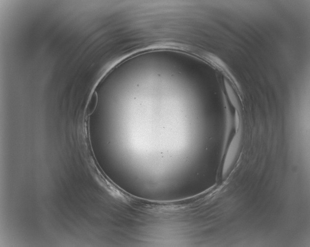 X0000054421292200508192047
