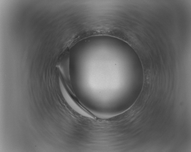 X0000054421298200508192047