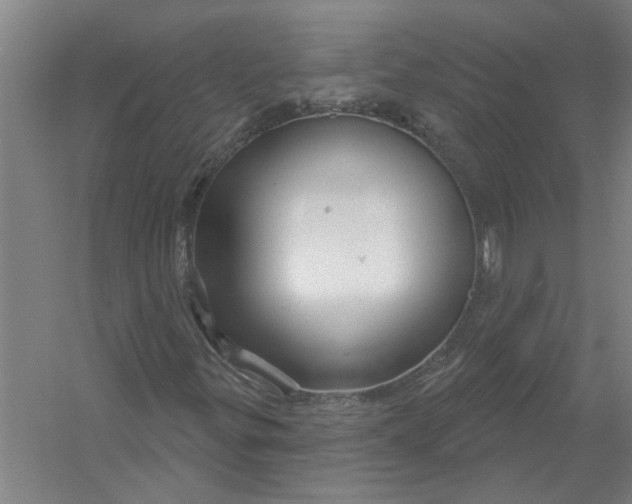X0000054421299200508192047