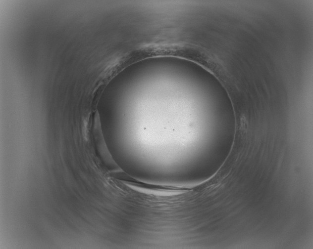 X0000054421300200508192047